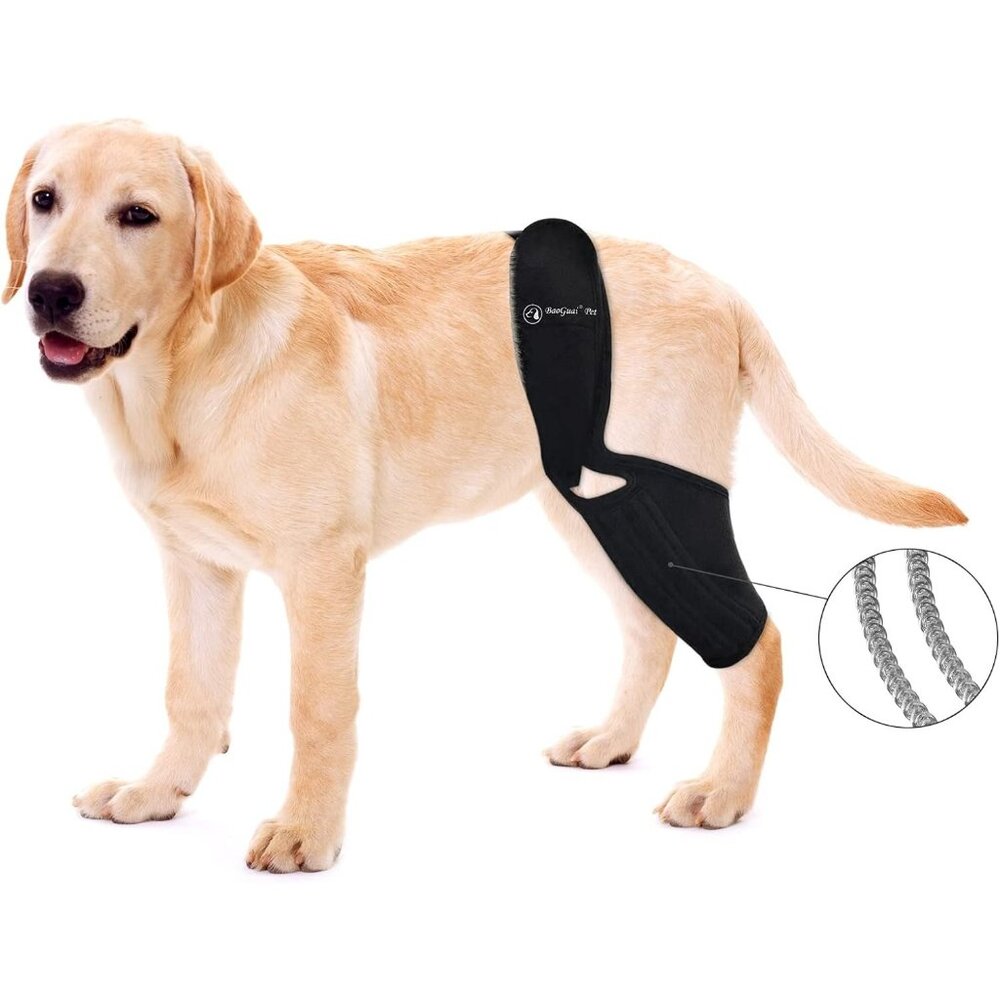 Knee Brace for Dogs ACL with Side Stabilizers Knee Cap Dislocation Arthritis XS